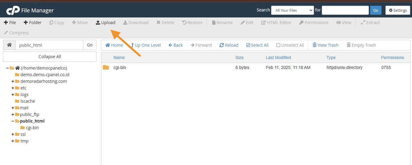 demo cPanel