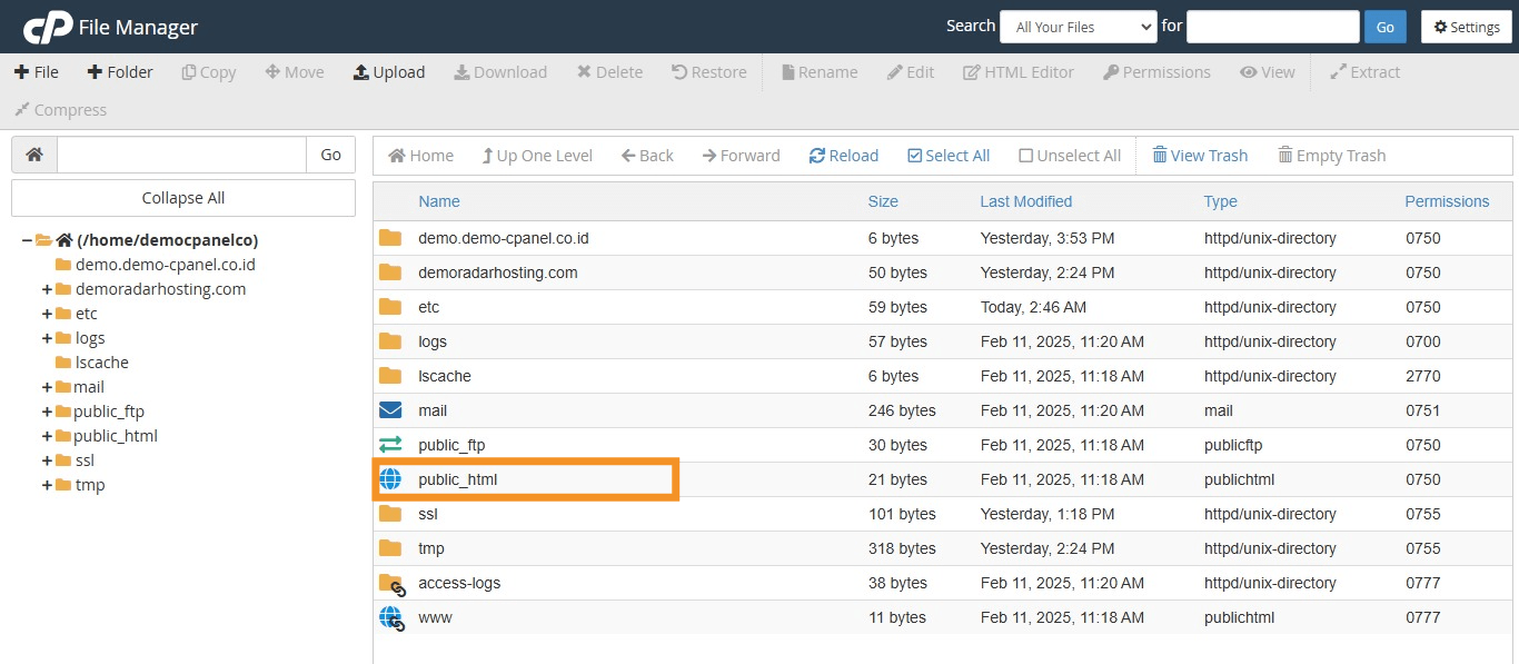 demo cPanel